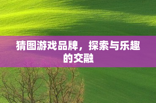 探索与乐趣的交融图片