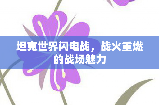 战火重燃的战场魅力图片