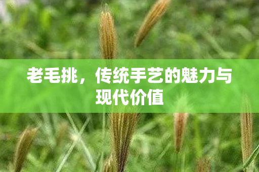 传统手艺的魅力与现代价值图片