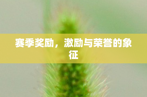 激励与荣誉的象征图片