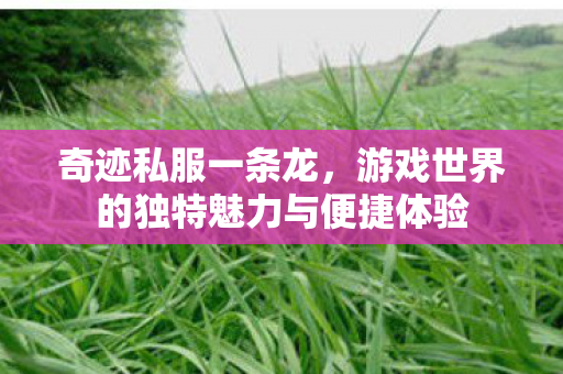 游戏世界的独特魅力与便捷体验图片