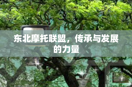 传承与发展的力量图片
