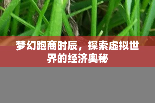 探索虚拟世界的经济奥秘图片