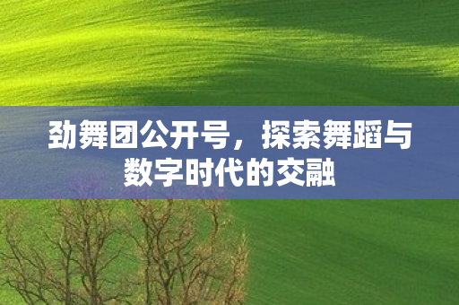 探索舞蹈与数字时代的交融图片
