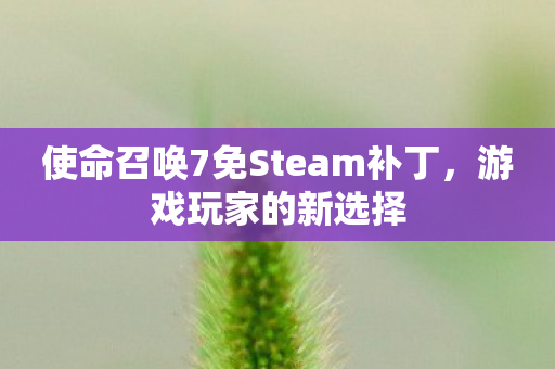 使命召唤7免Steam补丁图片
