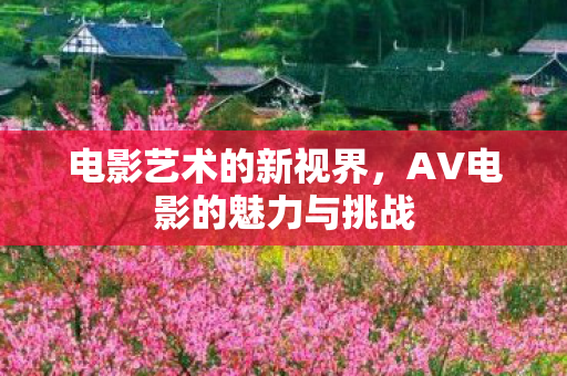 AV电影的魅力与挑战图片