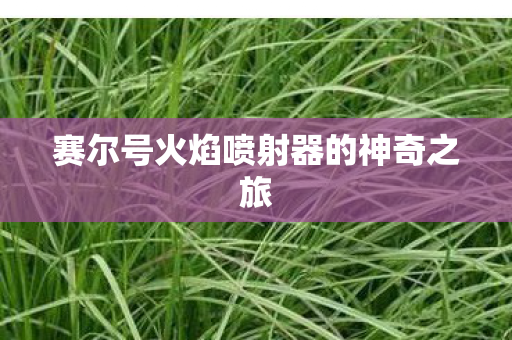 赛尔号火焰喷射器的神奇之旅图片