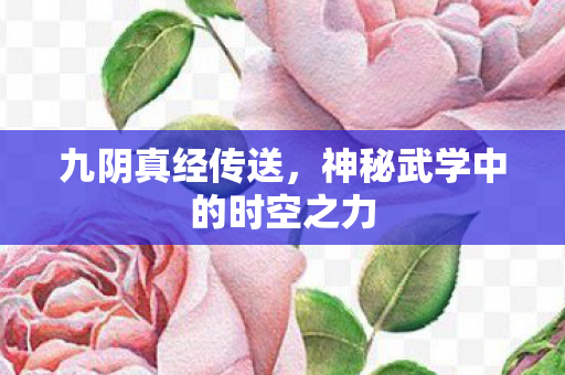 神秘武学中的时空之力图片