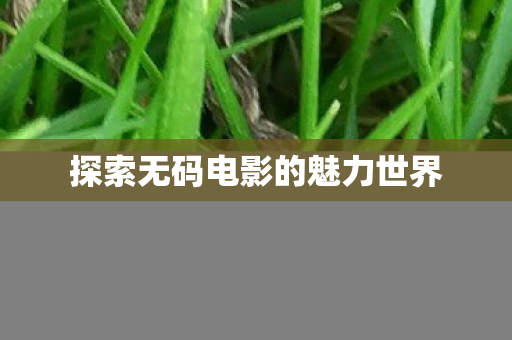 探索无码电影的魅力世界图片