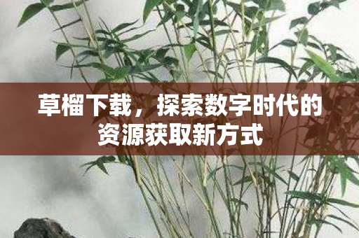探索数字时代的资源获取新方式图片