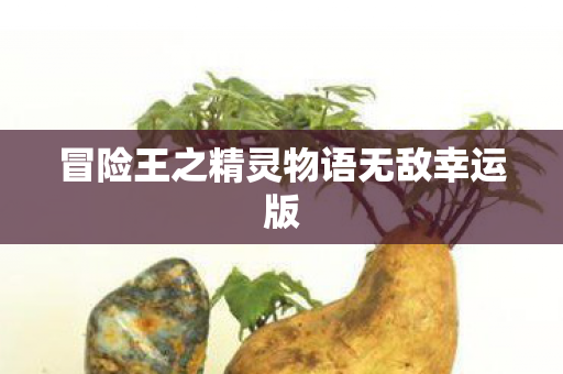 冒险王之精灵物语无敌幸运版图片