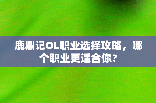鹿鼎记OL职业选择攻略图片