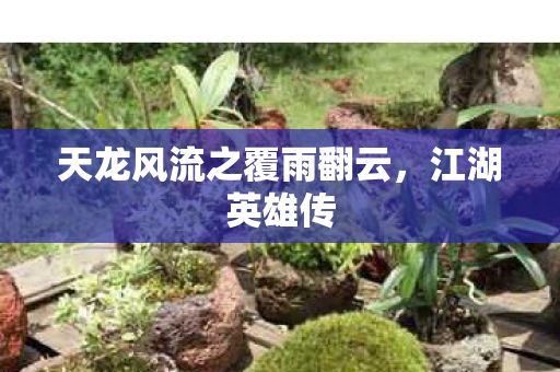 天龙风流之覆雨翻云图片