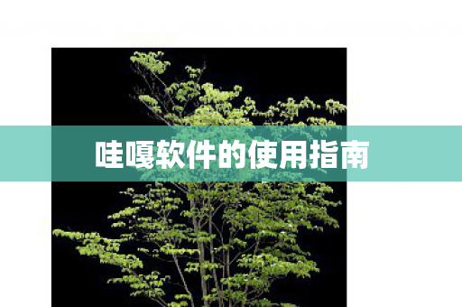 哇嘎软件的使用指南图片