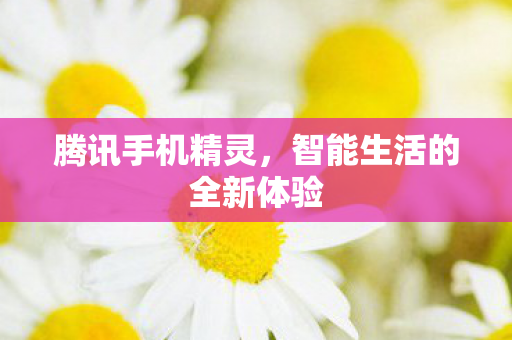 智能生活的全新体验图片