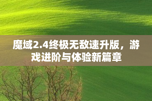 游戏进阶与体验新篇章图片