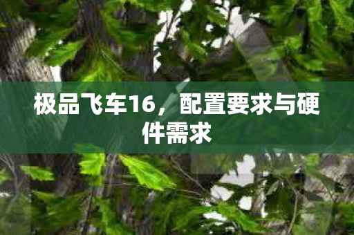 配置要求与硬件需求图片