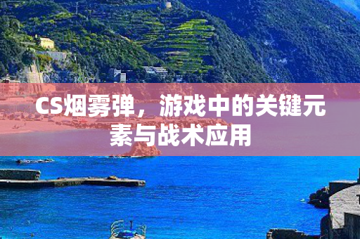 游戏中的关键元素与战术应用图片