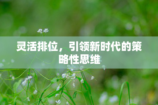 引领新时代的策略性思维图片