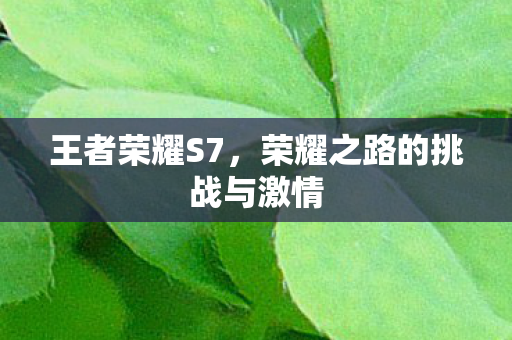 荣耀之路的挑战与激情图片