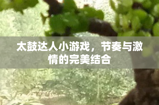 节奏与激情的完美结合图片