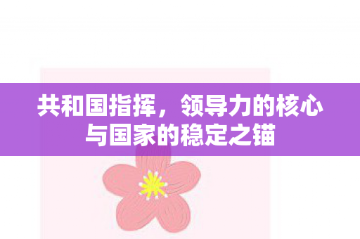 领导力的核心与国家的稳定之锚图片