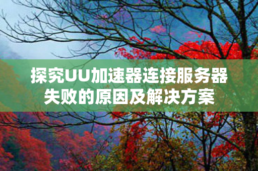 探究UU加速器连接服务器失败的原因及解决方案图片