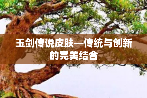传统与创新的完美结合图片