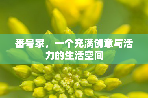 一个充满创意与活力的生活空间图片