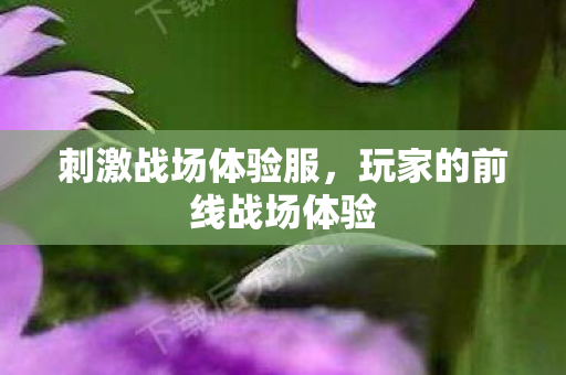 玩家的前线战场体验图片