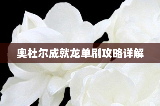 奥杜尔成就龙单刷攻略详解图片