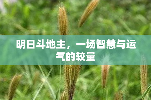 一场智慧与运气的较量图片