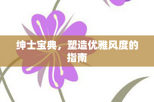 塑造优雅风度的指南图片
