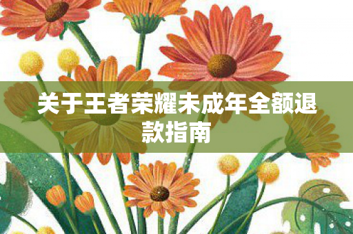 关于王者荣耀未成年全额退款指南图片