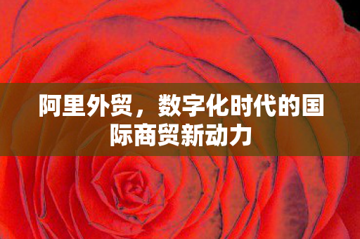 数字化时代的国际商贸新动力图片