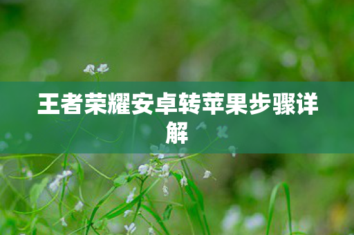 王者荣耀安卓转苹果步骤详解图片
