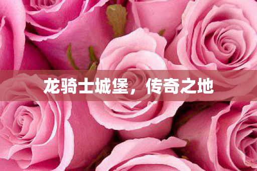 龙骑士城堡图片