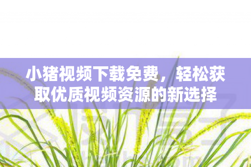 轻松获取优质视频资源的新选择图片