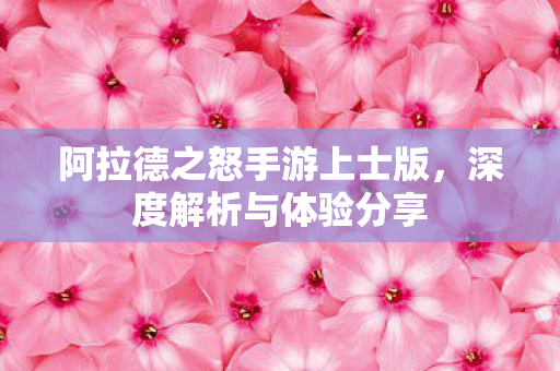 阿拉德之怒手游上士版图片