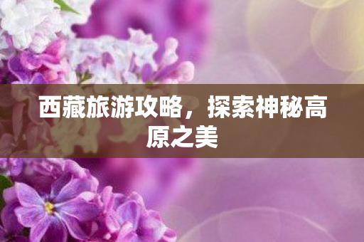 探索神秘高原之美图片