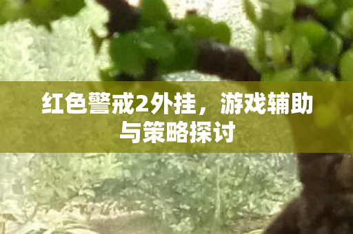 游戏辅助与策略探讨图片