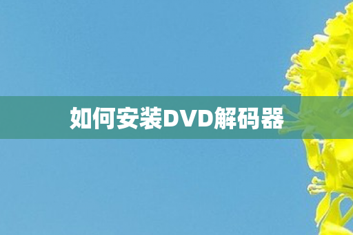 如何安装DVD解码器图片