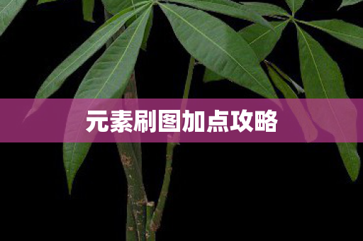 元素刷图加点攻略图片