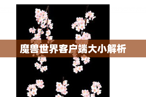 魔兽世界客户端大小解析图片