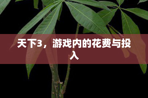 游戏内的花费与投入图片