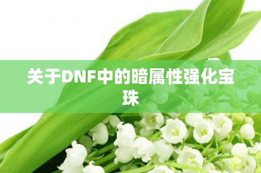 关于DNF中的暗属性强化宝珠图片