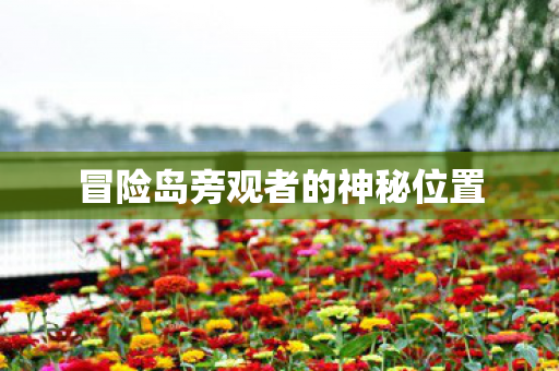 冒险岛旁观者的神秘位置图片