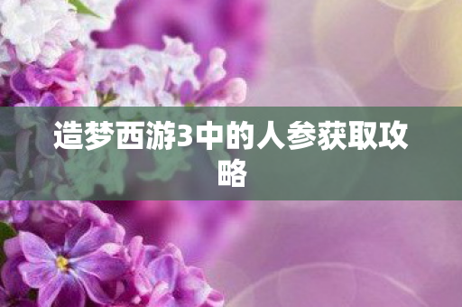 造梦西游3中的人参获取攻略图片