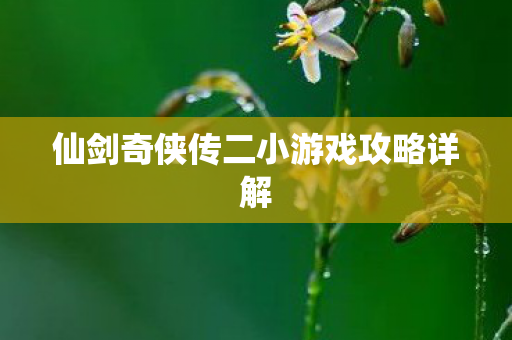 仙剑奇侠传二小游戏攻略详解图片