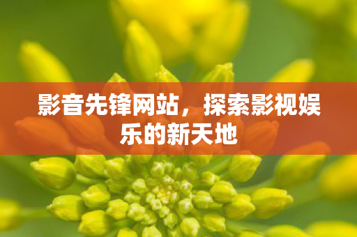 探索影视娱乐的新天地图片